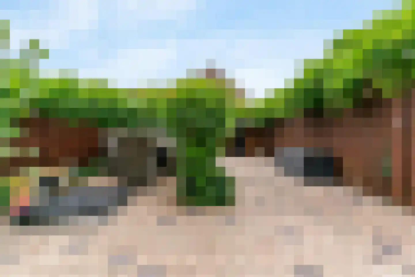 Zwanenlaan 17 Ter Aar thumbnail 26