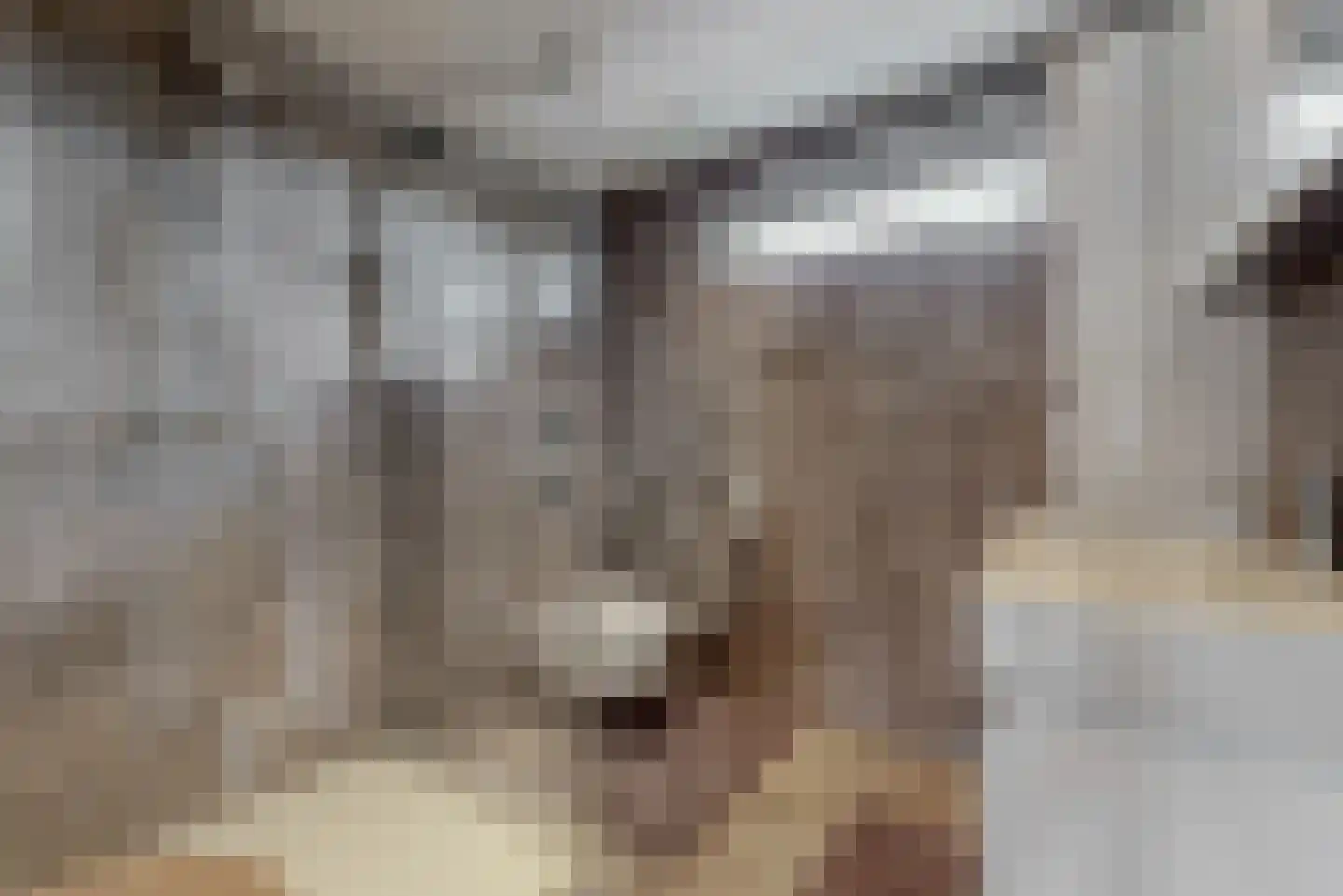 Zwanenlaan 17 Ter Aar thumbnail 4