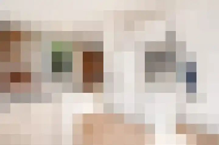 Zwanenlaan 29 Ter Aar thumbnail 11