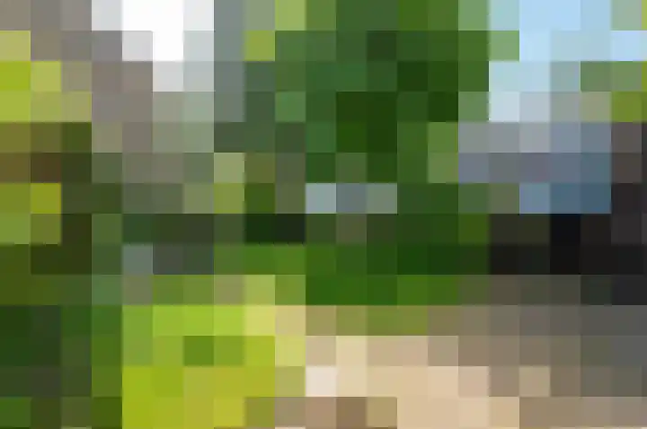 Zwanenlaan 29 Ter Aar thumbnail 12