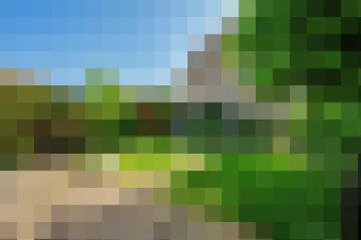 Zwanenlaan 29 Ter Aar thumbnail 13