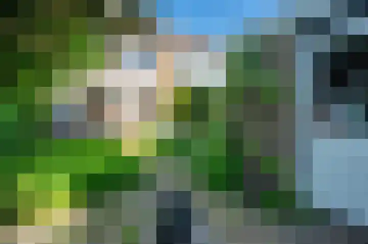 Zwanenlaan 29 Ter Aar thumbnail 14