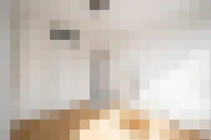 Zwanenlaan 29 Ter Aar thumbnail 18