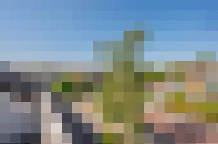 Zwanenlaan 29 Ter Aar thumbnail 30