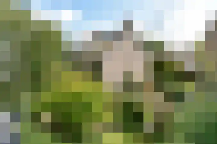 Zwanenlaan 5 Ter Aar