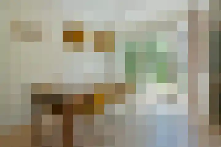 Zwanenlaan 5 Ter Aar thumbnail 11