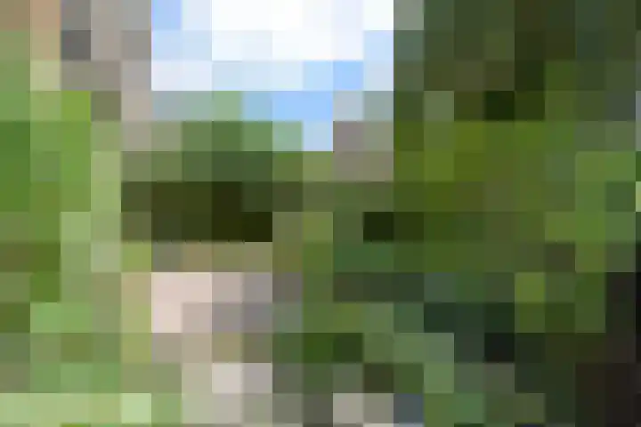 Zwanenlaan 5 Ter Aar thumbnail 18