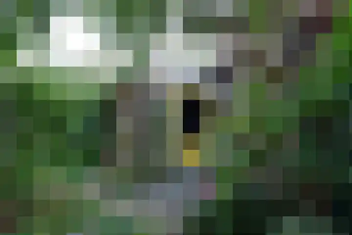Zwanenlaan 5 Ter Aar thumbnail 19