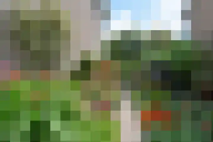 Zwanenlaan 5 Ter Aar thumbnail 20