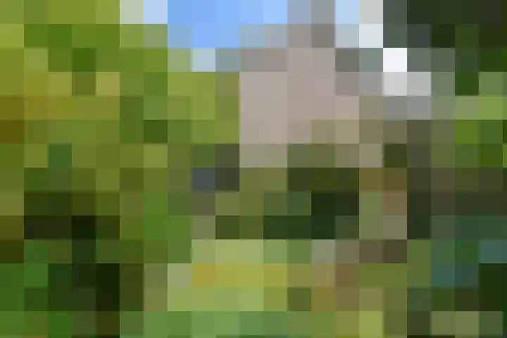 Zwanenlaan 5 Ter Aar thumbnail 21