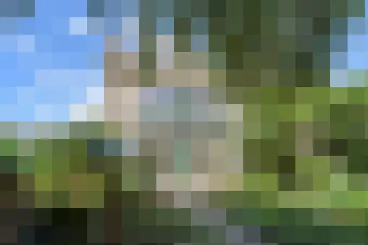 Zwanenlaan 5 Ter Aar foto 3