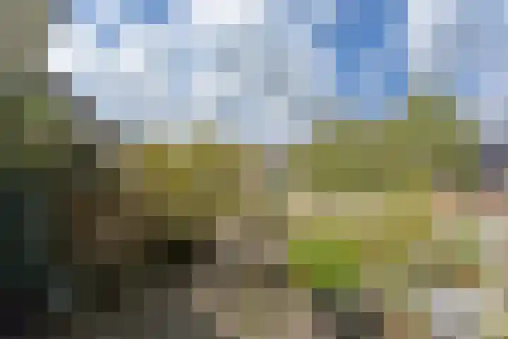 Zwanenlaan 5 Ter Aar thumbnail 37