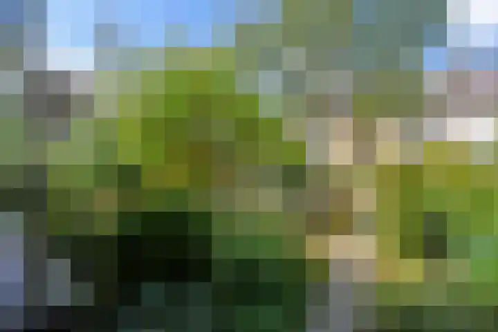 Zwanenlaan 5 Ter Aar thumbnail 38