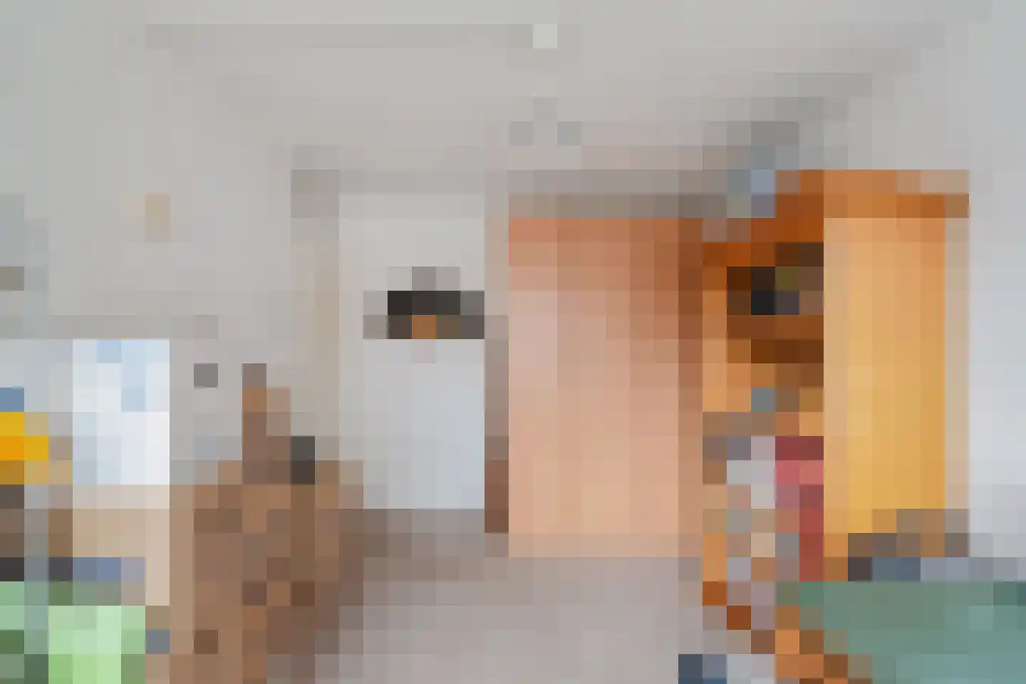 Zwanenlaan 55 Anna Paulowna thumbnail 18