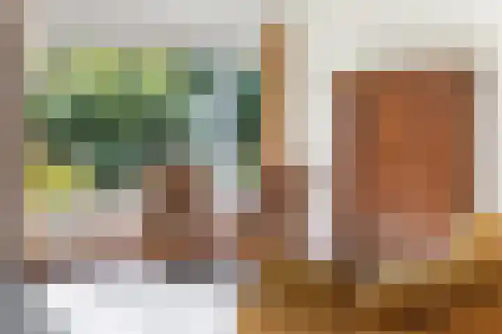 Zwanenlaan 6 Veere thumbnail 12