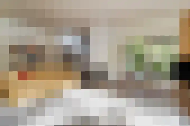 Zwanenlaan 6 Veere thumbnail 13