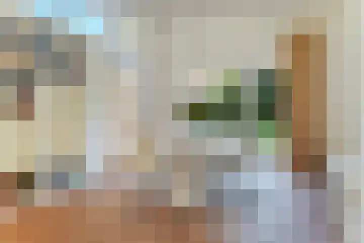 Zwanenlaan 6 Veere thumbnail 15