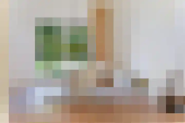 Zwanenlaan 6 Veere thumbnail 16