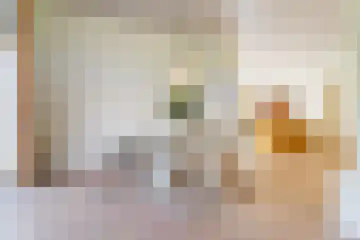 Zwanenlaan 6 Veere thumbnail 17