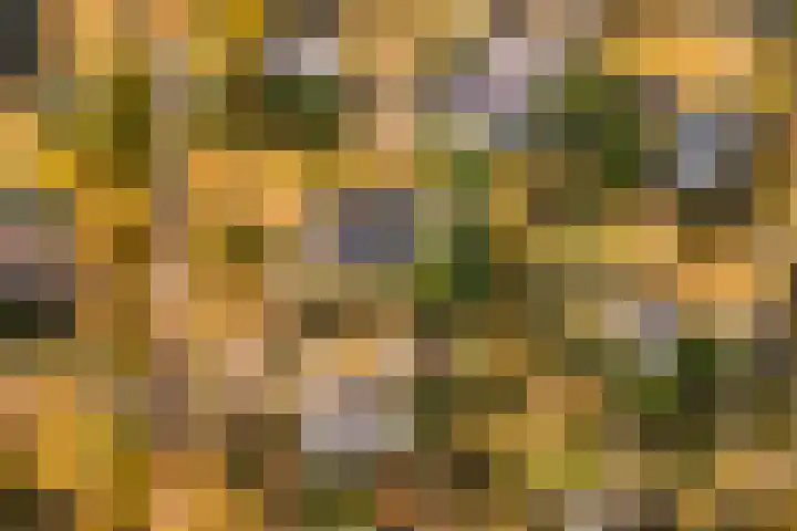 Zwanenlaan 6 Veere thumbnail 28