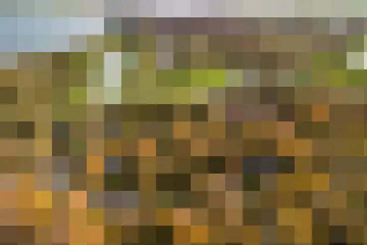 Zwanenlaan 6 Veere thumbnail 29