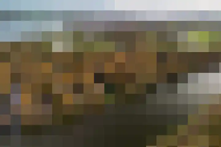 Zwanenlaan 6 Veere foto 3