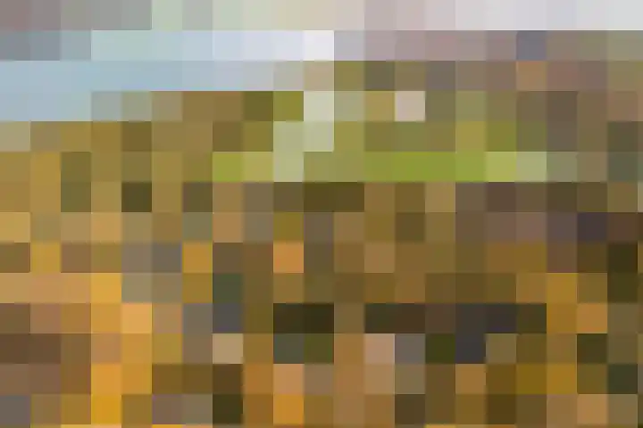 Zwanenlaan 6 Veere thumbnail 30