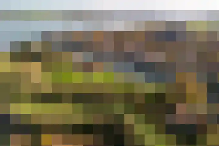 Zwanenlaan 6 Veere thumbnail 31