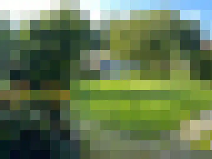 Zwanenlaan 6 Veere thumbnail 32