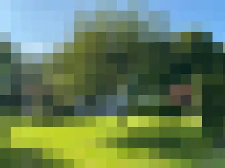 Zwanenlaan 6 Veere thumbnail 33