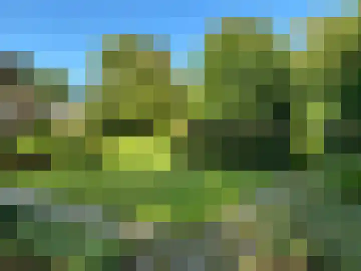 Zwanenlaan 6 Veere thumbnail 34
