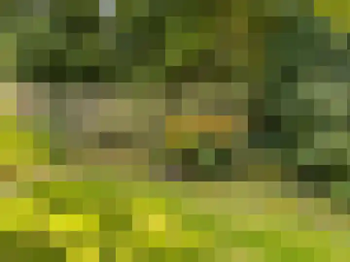 Zwanenlaan 6 Veere thumbnail 35