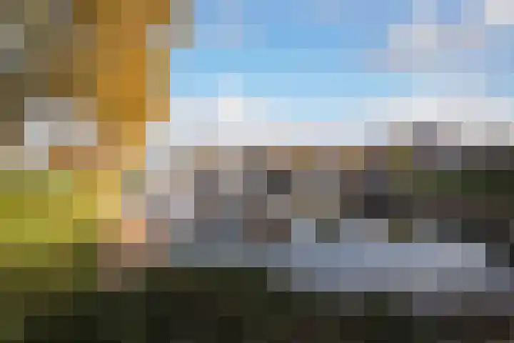 Zwanenlaan 6 Veere thumbnail 36