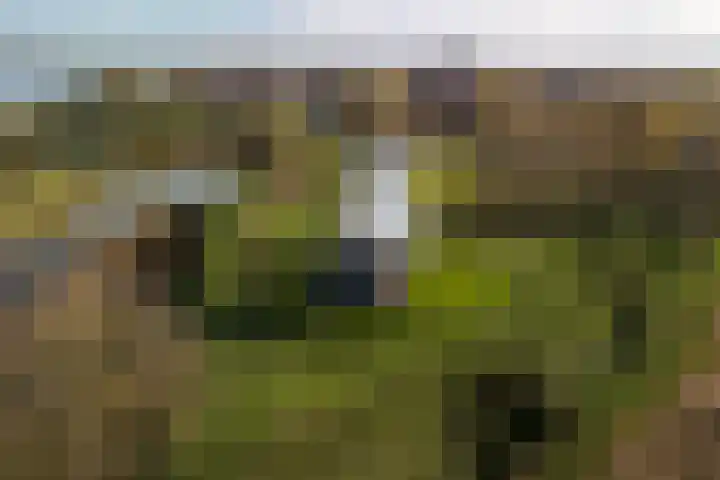 Zwanenlaan 6 Veere thumbnail 37