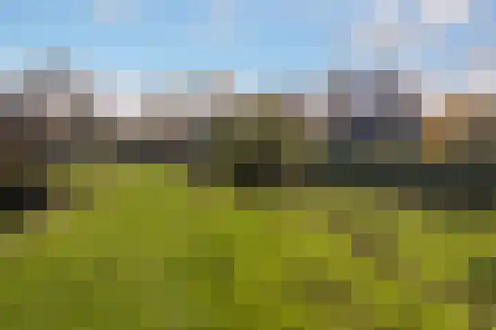 Zwanenlaan 6 Veere thumbnail 38