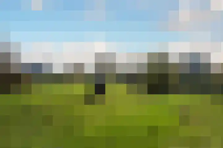 Zwanenlaan 6 Veere thumbnail 39