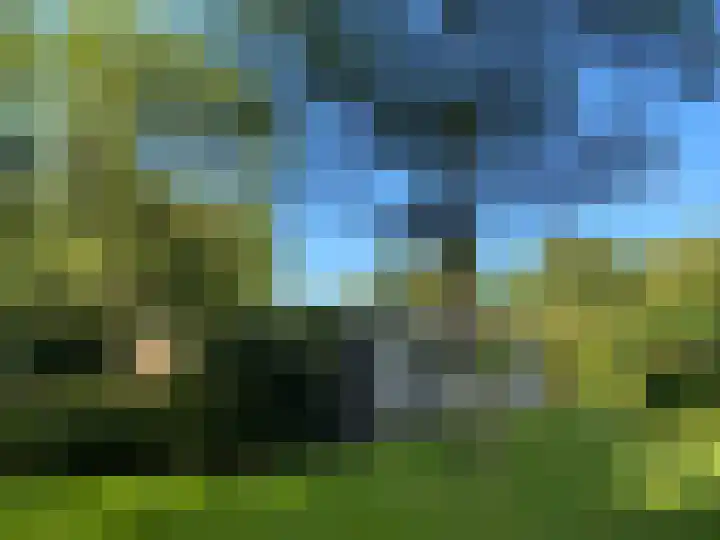 Zwanenlaan 6 Veere thumbnail 4