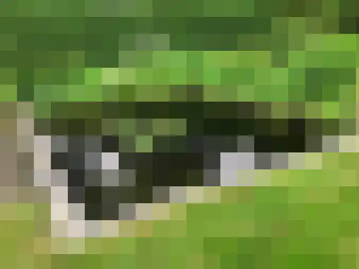 Zwanenlaan 6 Veere thumbnail 40