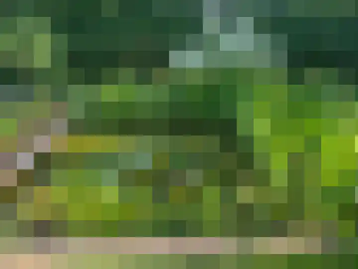 Zwanenlaan 6 Veere thumbnail 41