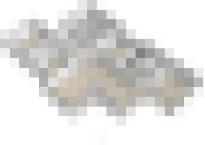 Zwanenlaan 6 Veere thumbnail 43