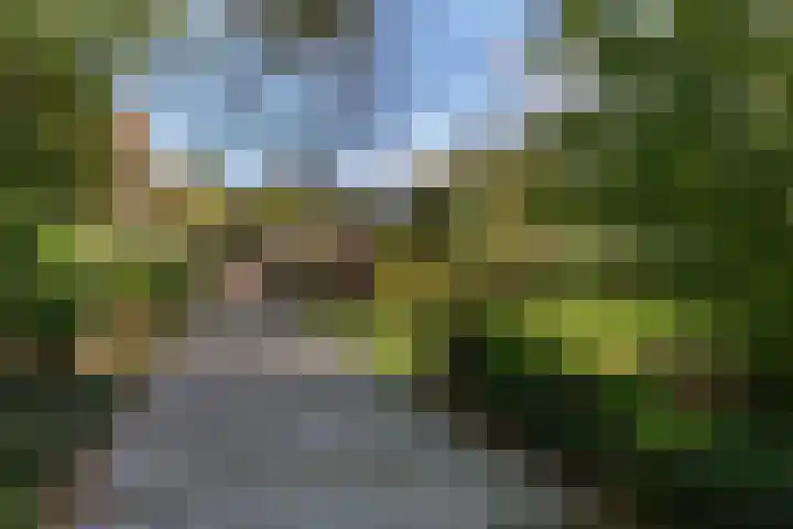 Zwanenlaan 6 Veere thumbnail 5