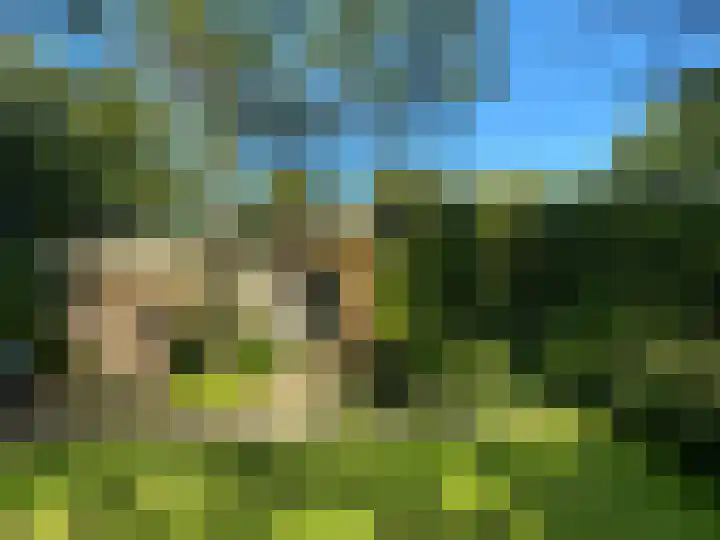 Zwanenlaan 6 Veere thumbnail 6
