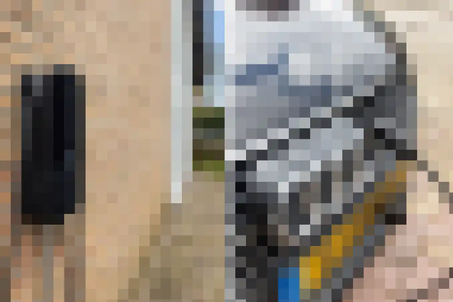Zwanenoord 33 Numansdorp thumbnail 10