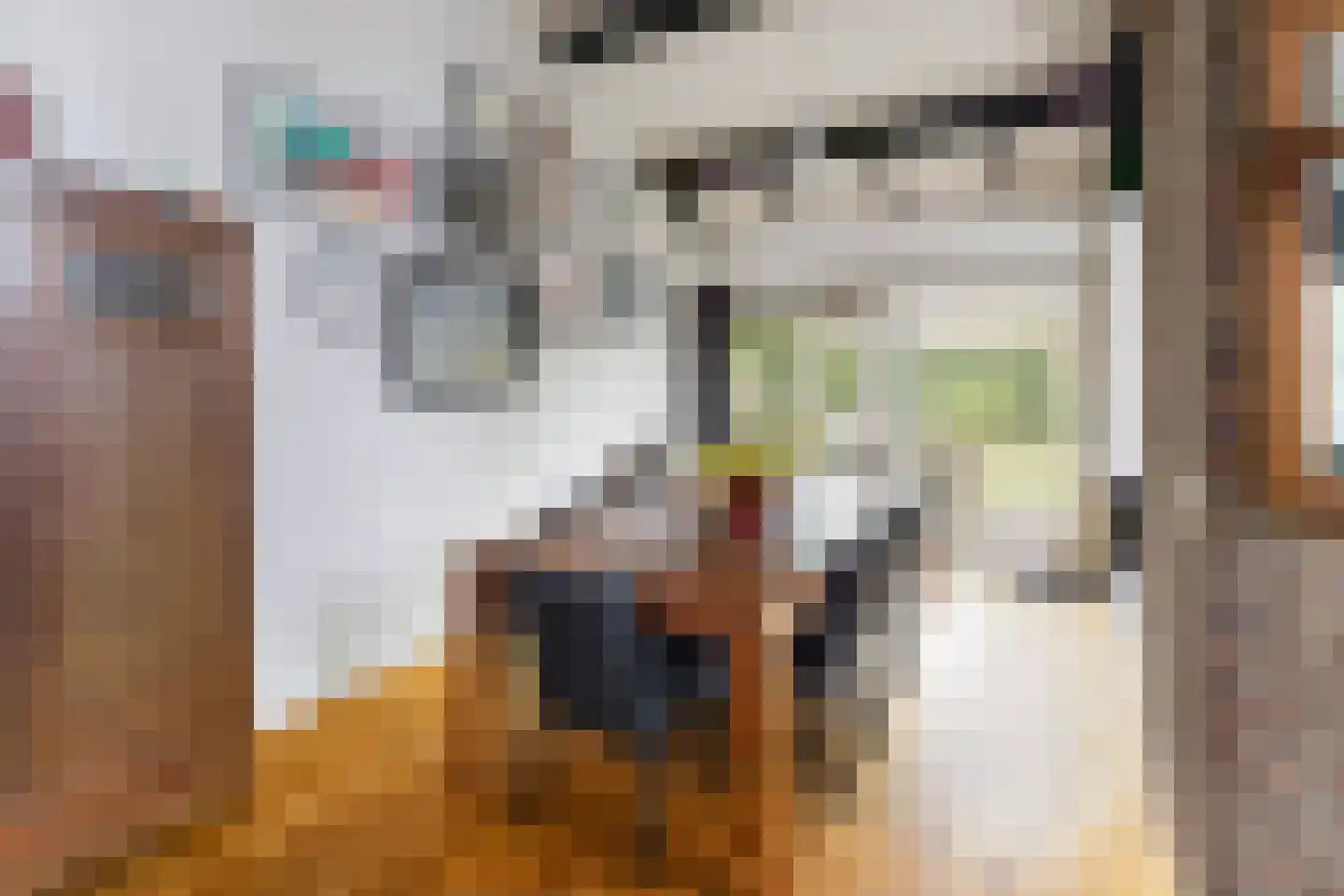 Zwanenoord 33 Numansdorp thumbnail 22