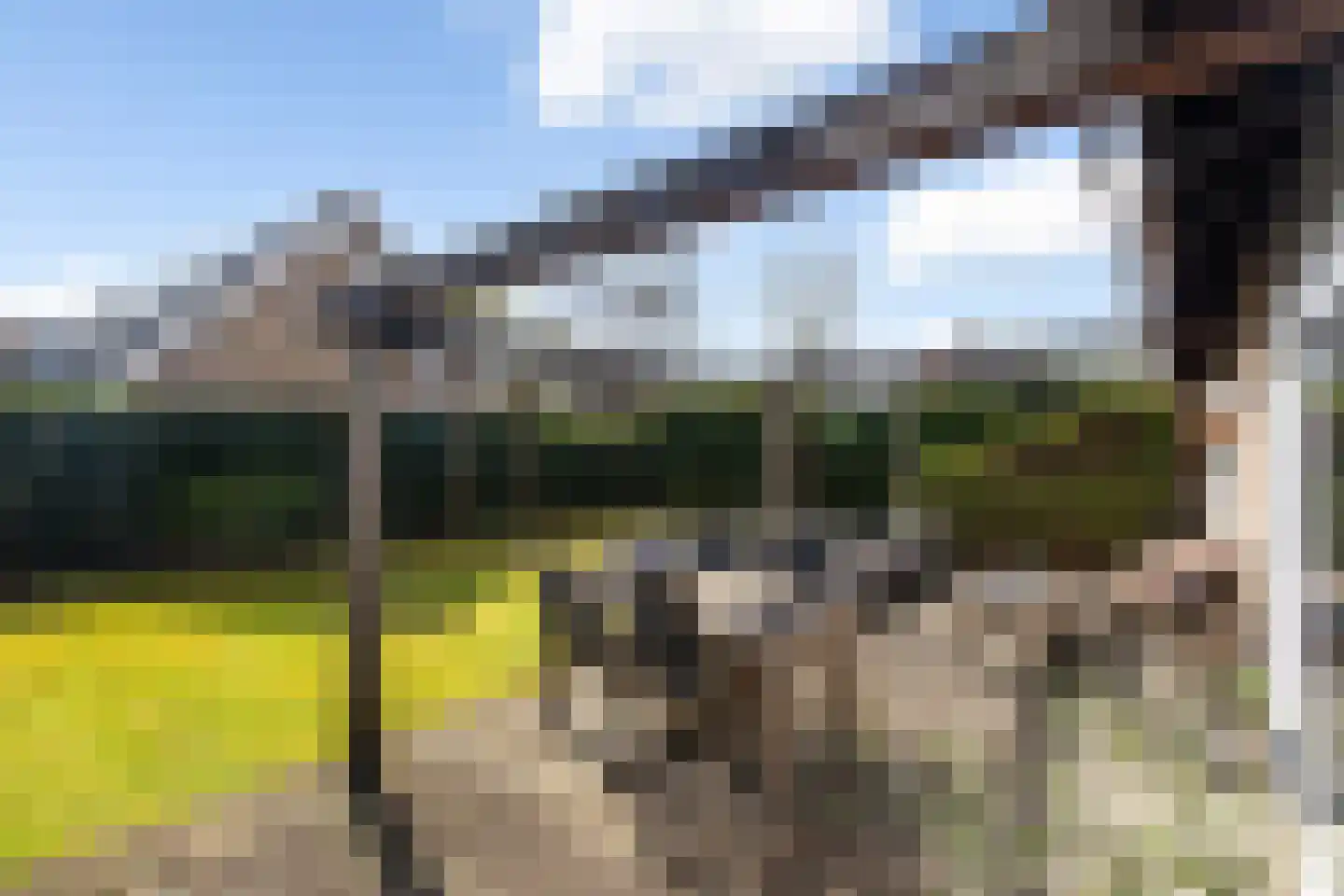 Zwanenoord 33 Numansdorp thumbnail 55