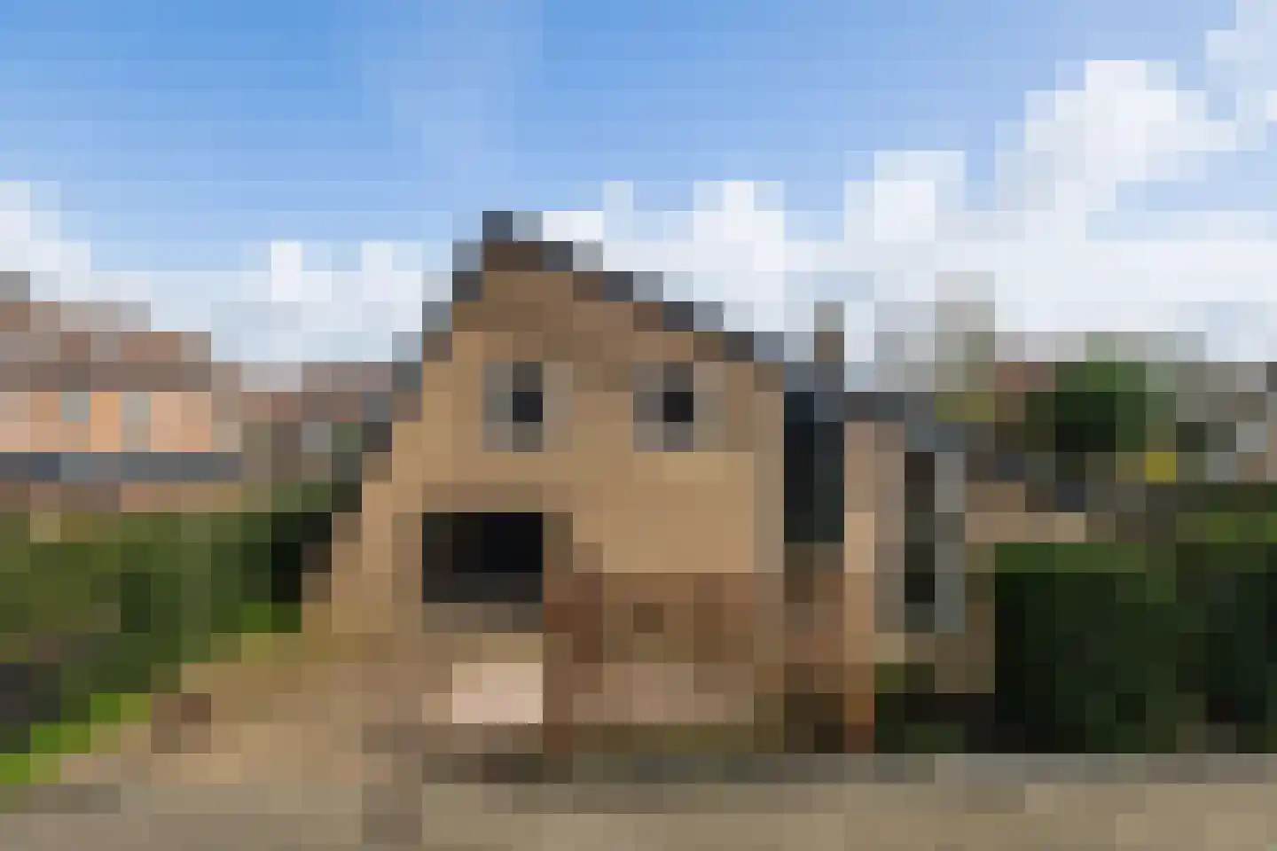 Zwanenoord 33 Numansdorp thumbnail 60