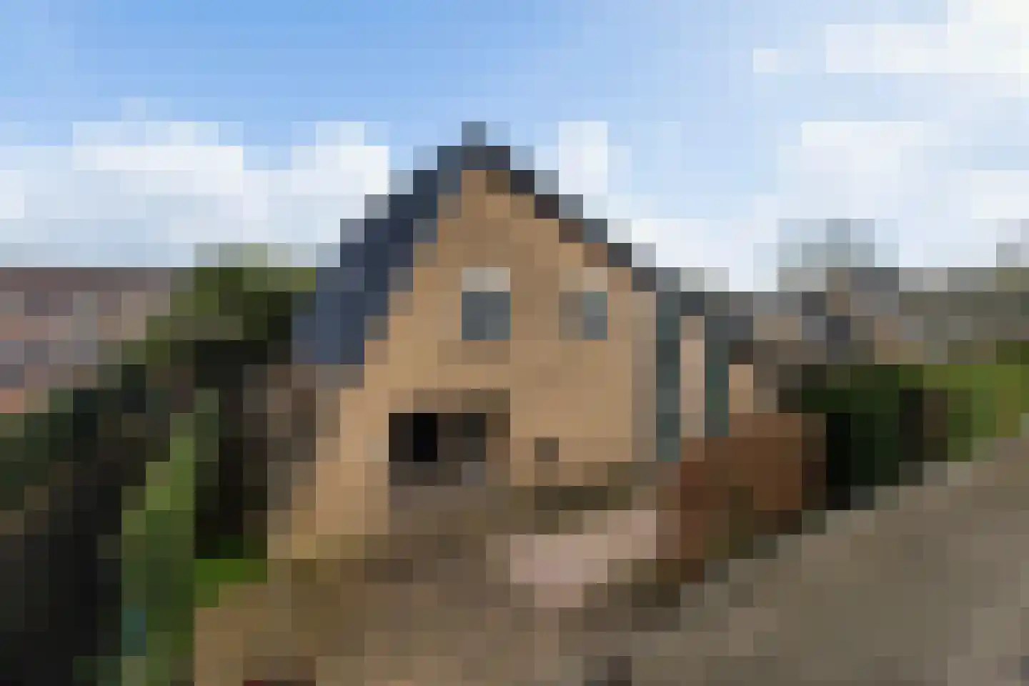 Zwanenoord 33 Numansdorp thumbnail 61