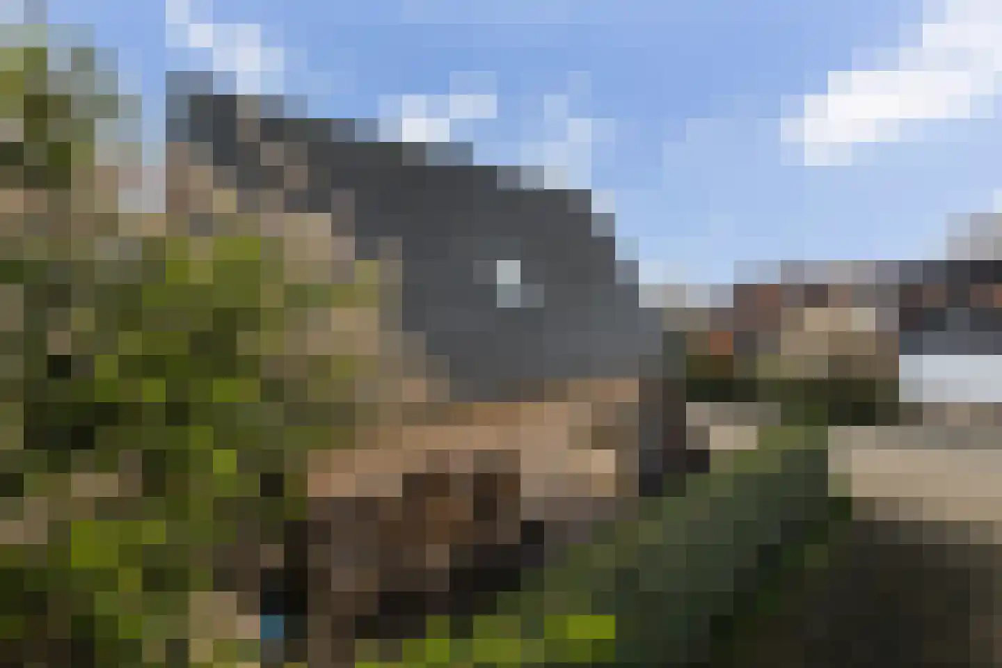 Zwanenoord 33 Numansdorp thumbnail 62