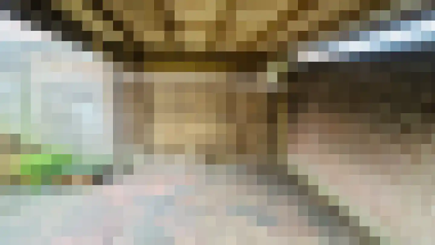 Zwanenpad 14 Delft thumbnail 17