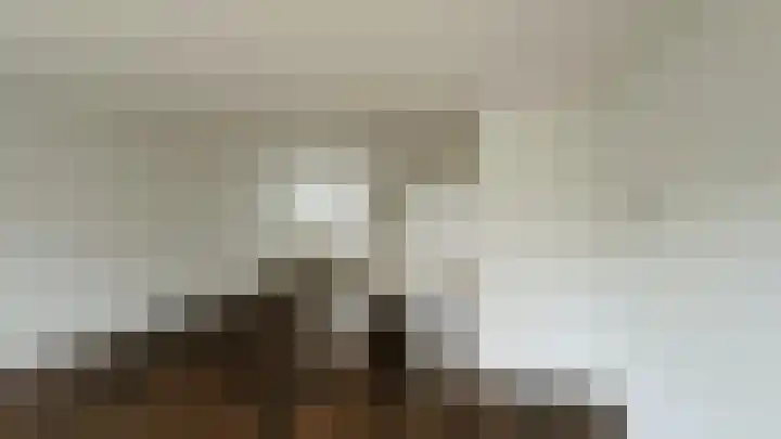 Zwanenpad 14 Delft foto 2